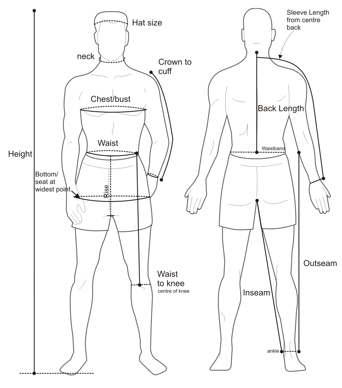 Model Measurements Chart